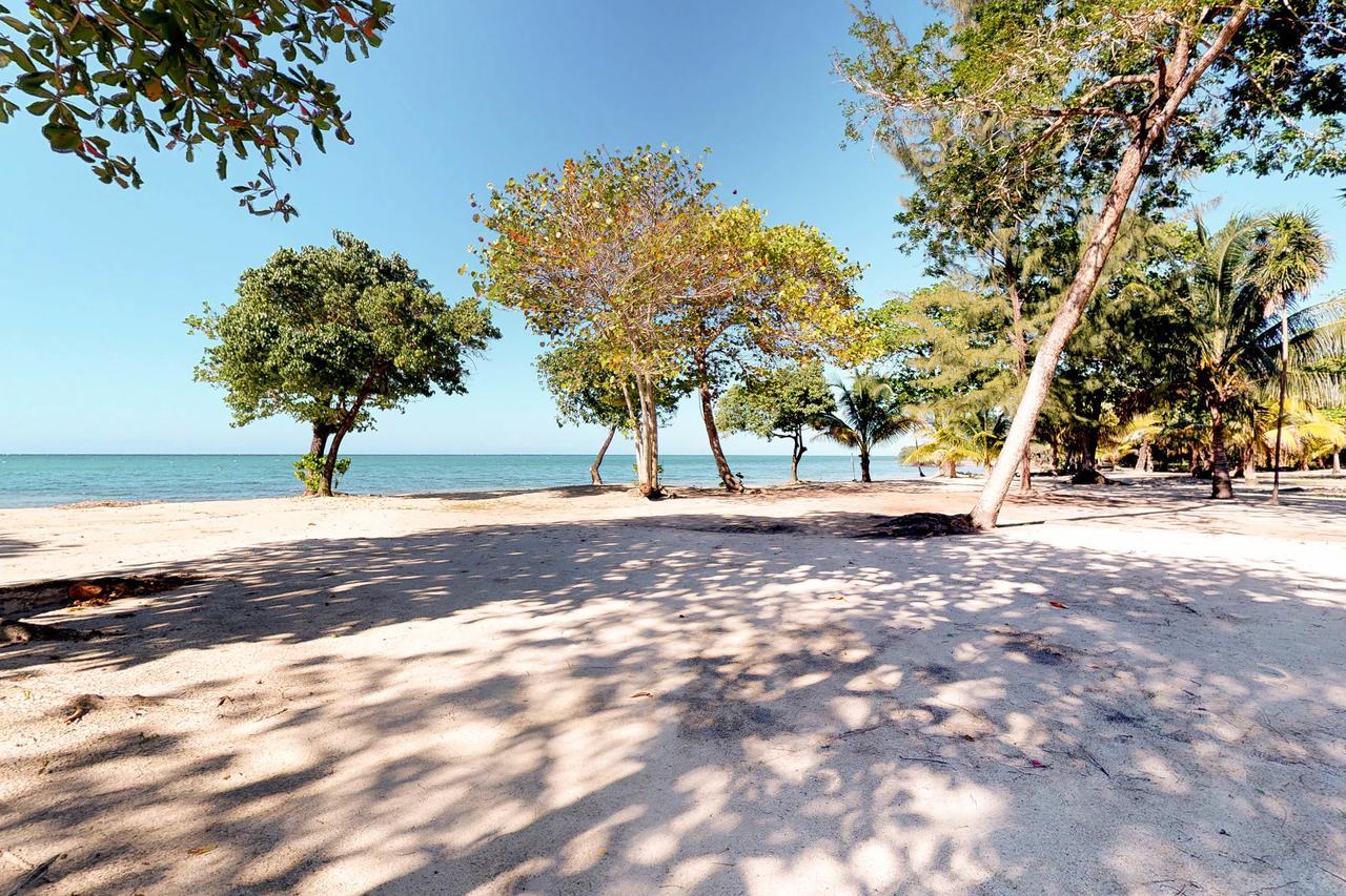 Private Beachfront Paradise Palmetto Bay Bagian luar foto